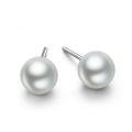South Korea S825 silver needle long style big earrings. 