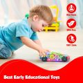 Playee Light Up Transparent Toy Car – Baby Toys with Music and Lights – 8” Battery Operated Toddler Toys – Sensory Toys for Boys and Girls – Baby Boy Toys for Endless Fun. 