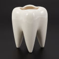 Tooth Shape White Ceramic Flower Pot Modern Design Planter Teeth Model Mini Desktop Pot Creative Gift(without plants). 