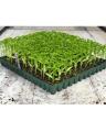 Professional Compost Soil For All Type Seed Germination Seedling Plants - 5L. 