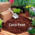 COCO Peat (1 KG Bag) - Seed Starter For Gardening & Plants. 