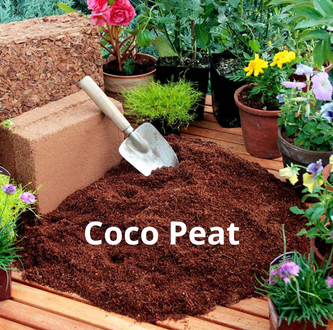 COCO Peat (1 KG Bag) - Seed Starter For Gardening & Plants