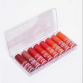 6/8 pc Professional Matt Lip Gloss. 