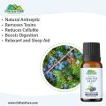 Juniper Berry Essential Oil – Relieves Bloating, Reduces Cellulite, Natural Preservative, Relaxant & Sleep Aid. 