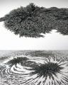 Iron Powder Magnetic Sand For Arts And Science Education 70G. 