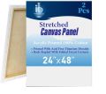 InstaOrder - 2 Pcs – 24x48 Inch Primed Canvases for Painting, 100% Cotton Stretched Canvas, Art Supplies for Acrylic Pouring, Oil Painting and Watercolor, Acid Free Canvas - Art Panel - Small Canvas – Artist. 