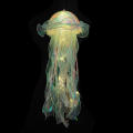 Color DIY Jellyfish Lamp Lantern Mermaid Parti Jellyfish Light Lantern Girls Happy Under The Sea Theme Birthday Party Decor. 