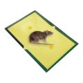 Rat Trap Book (Pack of 5 Pcs.) | Choha Pakarnay ki Kitab | Glue Book For Rat | Stick Book for Mouse| Easy to use Rat Trap Book| Cockroach Lizard Insects Glue Book for Trap. 