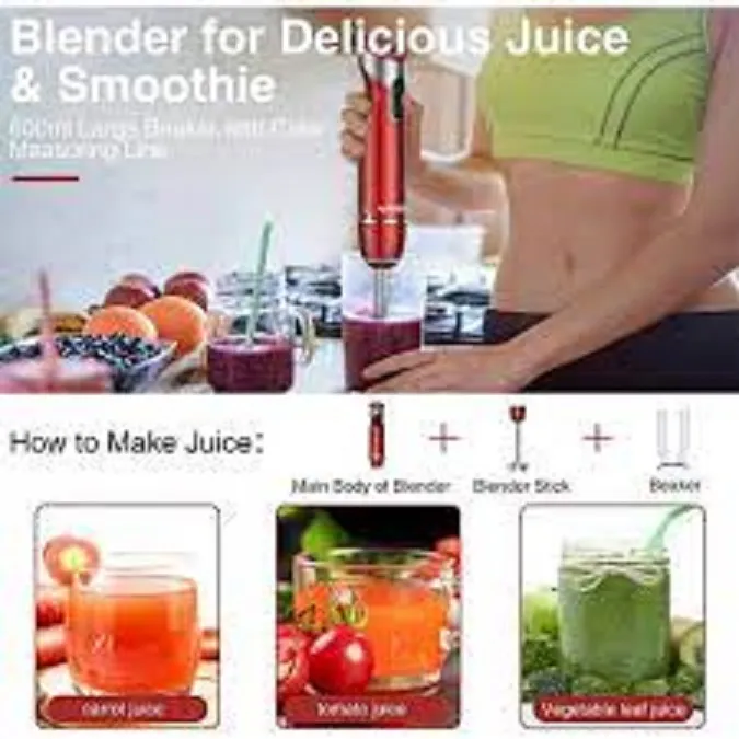 New%205%20in%201%20Hand%20Blender%20set%20Healthomse%20with%20coffee%20beater%201000Watts%2012-Speed%20with%20turbo%20speed%20option%20-%20Image%203