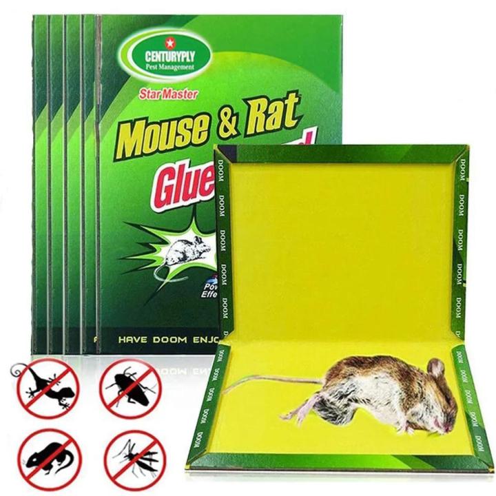 Mouse Trap