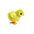Fun Walking Duck Animal Toy 3x3.5 inches. 