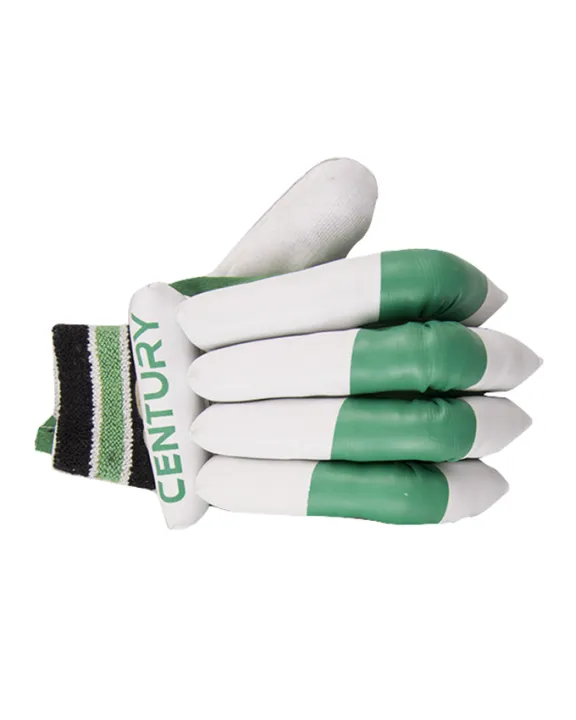 Premium%20Sports%20Pack%20of%206%20Cricket%20Kit%20(Hard%20Ball%20Bat%20+%20Hard%20Ball%20+%20Gloves%20+%20Cricket%20Kit%20Bag%20+%20Helmet%20+%20Under%20Guard)%20-%20Image%207