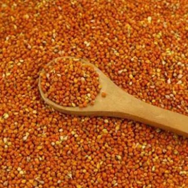 1 Kg Red Kangni Seeds For Birds Finches Budgies Lovebirds And Cockatiel Parrots