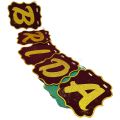 BRIDAL SHOWER VELVET BANNER ( 12 WORDS BANNER WITH RIBBON ). 