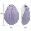 CHUYI 2.4G Wireless Optical Mouse Cute Hamster Cartoon Design Computer Mice Ergonomic Mini 3D Gaming Office Mouse Kid's Gift. 