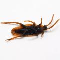 2Pcs Halloween Gadget Plastic Cockroaches Joke Decoration Rubber Toy Gags Practical Jokes Toys Plastic Bugs Cockroach. 