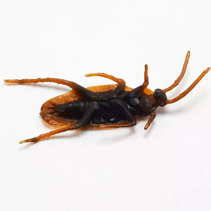 2Pcs%20Halloween%20Gadget%20Plastic%20Cockroaches%20Joke%20Decoration%20Rubber%20Toy%20Gags%20Practical%20Jokes%20Toys%20Plastic%20Bugs%20Cockroach%20-%20Image%203