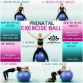 85cm Yoga Ball Exercise Ball , Anti-Burst & Non-Slip Fitness Ball Birthing Ball with Quick Pump- Home Gym Office Chair Ball-FITNESSCLUB419. 