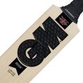 GM kashmiri Wilow Hard Ball Cricket Bat black. 
