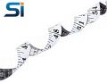 Big Size Tailor Measuring Tape (60 Inch /150 cm) – Pack of 6 pieces Multicolor – Double Sided Tailor Cloth Ruler Inch Tape. 