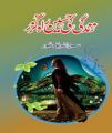 Zindagi Ki Haseen Rahguzar By Sumaira Sharif Toor. 