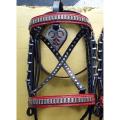 Bridle set. 