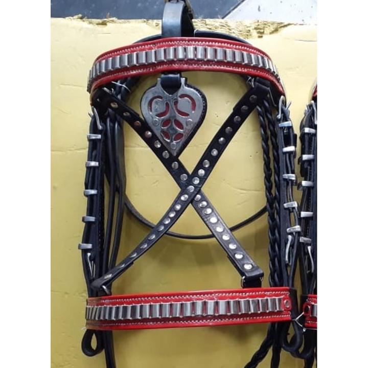 Bridle set