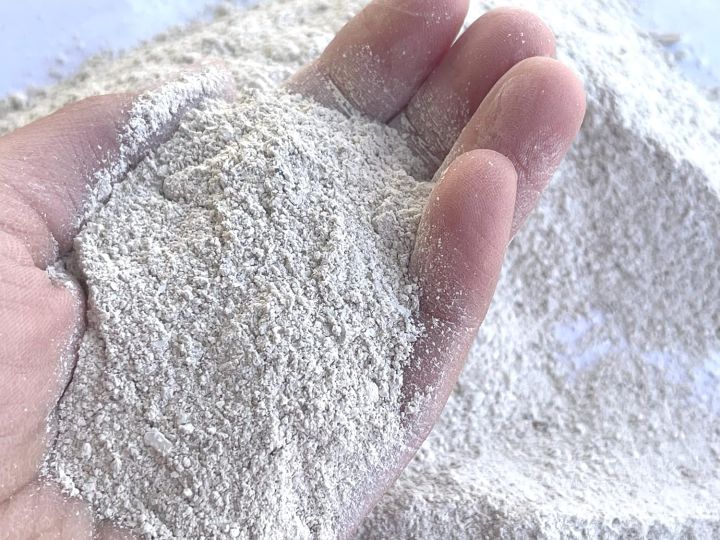Oyster Shell Powder  High Calcium Supplement for Chickens, Amphibians, Reptiles, Mammals, Invertebrates & Birds 500 Grams