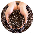 Organic Soilless Seed Starter Mix - Mixture of Vermicompost Coco Peat/Cocopeat and Perlite. 