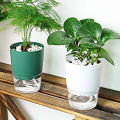 Self-absorbent Plant Pot High-transparent Base Double-layered Cotton Rope Absorbing Pot. 