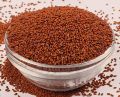 EARTHLINGSA:saliya Seed/Garden Cress Halim Seeds - Shipping Free (200 gm). 