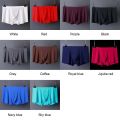 3D Spandex Luxury Men Boxers L-XXXL Underwear Shorts Seamless Antibacterial High Quality Popular 1PC Ice Silk Panties. 