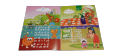 2 in 1 English and Urdu Poem Book Nazmon Kitab Card 9.5 inches x 7 inches. 