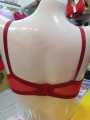 Mesh Transparent Seamless Bra Set Women. 
