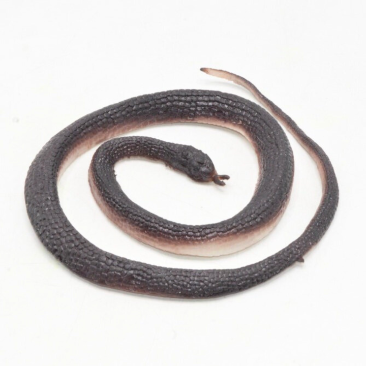 Realistic%20Rubber%20Cape%20File%20Snack%20Toy%20Gift%20for%20Kids%20%E2%80%93%20Fun%20&%20Unique%20Plaything%20-%20Image%203