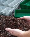 Compost Soil For Seedling,Potting,Cactus & Bonsai  5L. 
