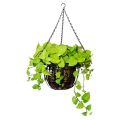 6 Pack Hang Chan, HEAVY DUTY 50cm Hang Flower Basket Replacement Chan -3 Pont Garden Plant Hanger for Outdoor or ndoor. 