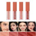 Dragon Ranee 4pcs Fruit Juice Natural Shiny Liquid Blushes set - DR48. 