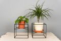 1 Metal Cube Plant Stands, Wire Plant Pot Stand, Metal Plant Holder, Flower Pot Stand, Steel Wall Hanger, Minimalist Plant Stand, Customized by Dhudhi Mart. 