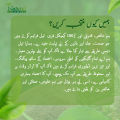 Castor Oil Cold Pressed - ارنڈی کا تیل - Wellnest Mart - (60ml) 100% Natural , Pure & Organic. 