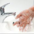 IZFA Bloom Anti Bacterial Liquid Hand Wash Pump - 500ml | Premium Rose Fragrance Moisturizing Handwash For Soft Hands. 