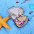Freshwater Oyster Mussel Shell Beautiful Multicolor 7.5*6.5*1Cm Collection Vacuum Pack Love Wish Pearl Jewelry Accessories. 