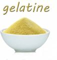 GELATIN POWDER | PACK OF 5| 50 GRAM EACH | DESI HERBS PAKISTAN|. 