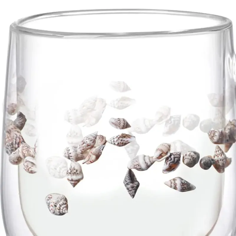 Double-Wall Borosilicate Glass Cup