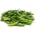 Radish pod seeds -mongra-F1-VEGETABLE SEEDS HYBRID BY HK DEALER. 