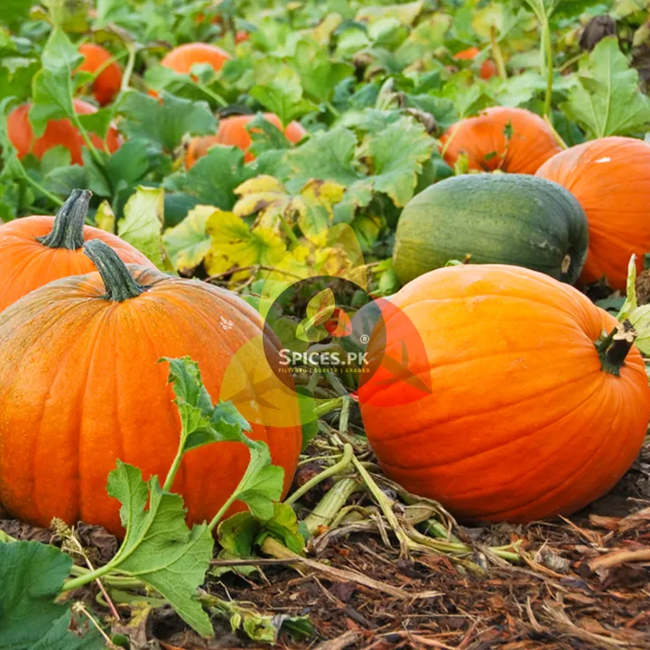 Premium%20Pumpkin%20Seeds%20Without%20Shell%20(120g)%20-%20Kadu%20Ke%20Beej%20-%20Fresh%20&%20Organic%20Green%20Pepitas%20for%20Eating%20-%20Image%207
