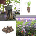 HomeInn Growing Sponge Reusable Hydroponic Plant Growth Planting Sponge. 