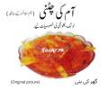 HYDERABADI AAM CHATNI SAUCE CHATNE 1000gm-aam ki chatnee- fresh organic aam ki chatni- home made mango sauce 1000gram packing-Mango sauce with mango slices sweet and juicy slices-aam ki khatti meethi chatnee-1KG. 