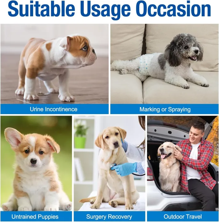 Pet%20Soft%20Disposable%20Male%20Dog%20Wraps%20-%20Dog%20Diapers%20for%20Male%20Dogs,%20Puppy%20Diapers%2012pcs%20Medium%20-%20Image%206