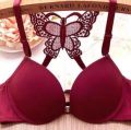 Butterfly Style Bra For Women's Front Open Multicolor Soft Foam Light Padded Bras For Bridals Push Up Style Front Open Bra For Women And Girls. 